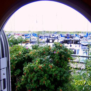 Sommarbilder