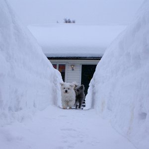 102 . Vinter 2010