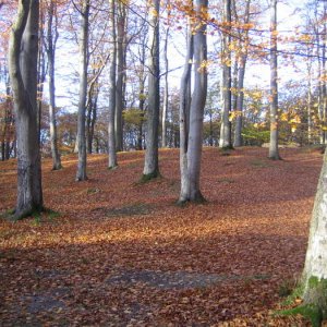 Skånehelg 2007