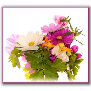 Blomsterkvast
