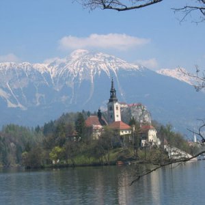 Bled