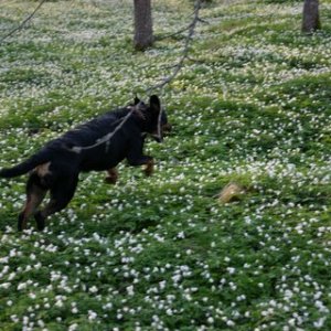 Kita