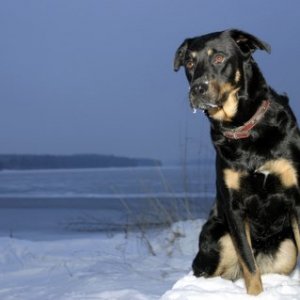 Kita