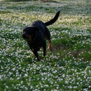 Kita