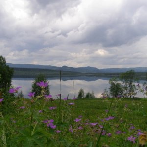 Midsommar Fatmomakke 2006
