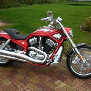 Hd V-rod Se