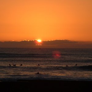 Hawai 235