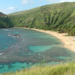 Hawai 239