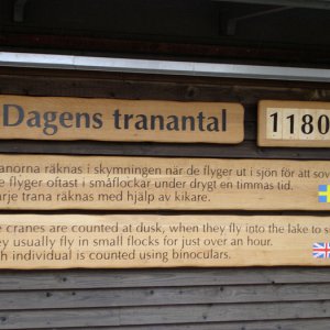 007 - Trandansen2008-3