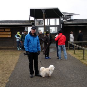 009 - Trandansen2008-4