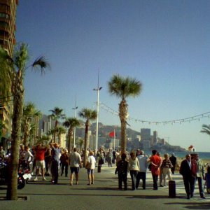 Övervintring 1 Spanien