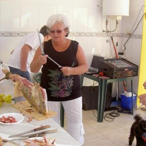 Övervintring 1 Spanien