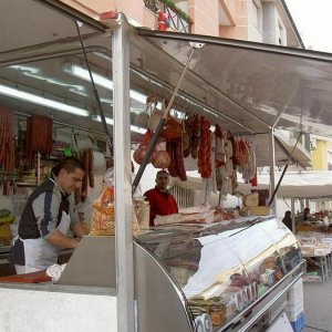 Övervintring 1, Spanien