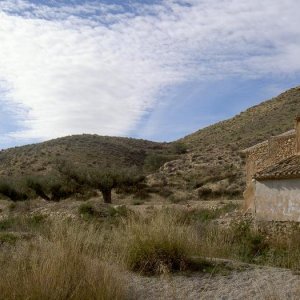 Övervintring 1, Spanien