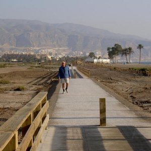 Övervingtring 1, Spanien