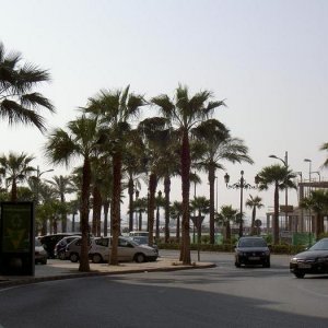 Övervingtring 1, Spanien