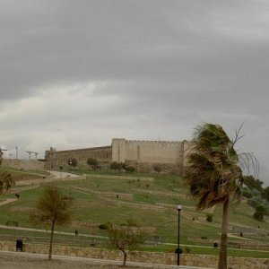 Övervintring 1, Spanien