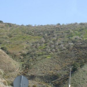 Övervintring 1, Spanien
