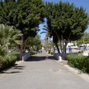 Övervintring 1, Spanien