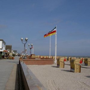 Övervintring 1, Spanien