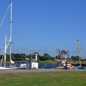 Semestern 2012