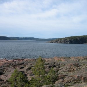 Img 0008