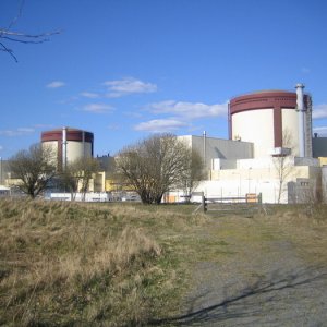 Ringhalsträffen 2008