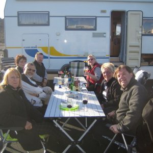 Ringhalsträffen 2008