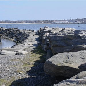 Ringhals