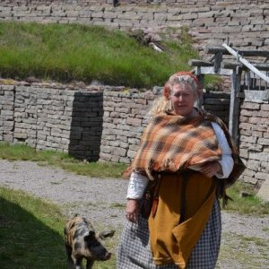 Semestern 2012