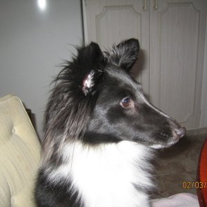Kira