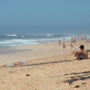 Hawai 214