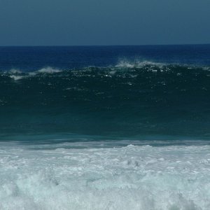 Hawai 216