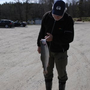 Kroksjön 080426