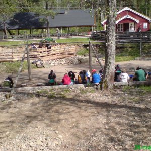 Guldvaskning I Ädlefors