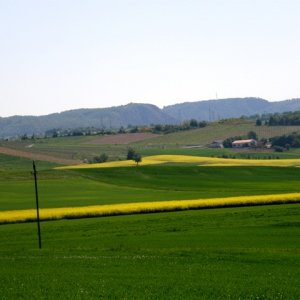 Tysklandsresa Maj 2008