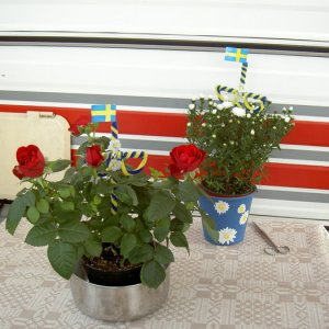 Midsommarträff Hörröd 2008