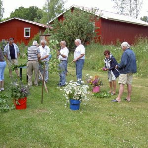 Midsommarträff Hörröd 2008
