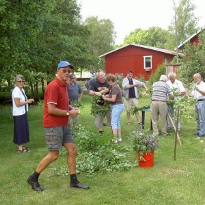 Midsommarträff Hörröd 2008