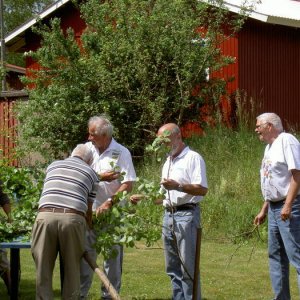 Midsommarträff Hörröd 2008