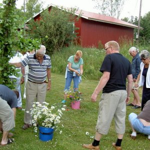 Midsommarträff Hörröd 2008
