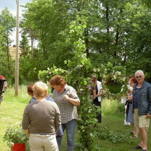 Midsommarträff Hörröd 2008