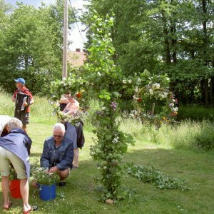 Midsommarträff Hörröd 2008