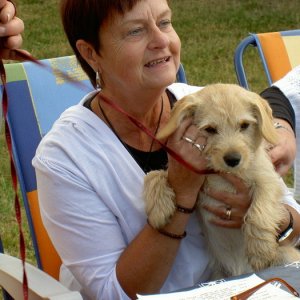 Midsommarträff Hörröd 2008