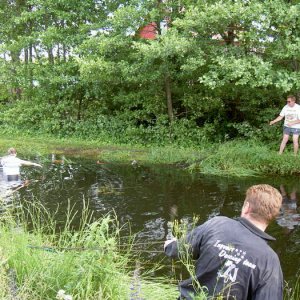 Midsommarträff Hörröd 2008