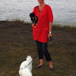 048 - Gotland 2008 Sol Och åter Sol :) :)