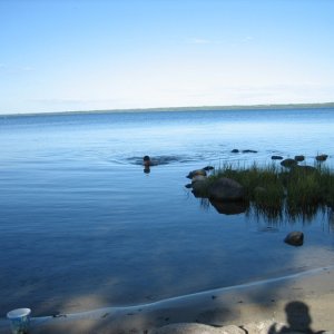 Badväder Norr Om Kalmar