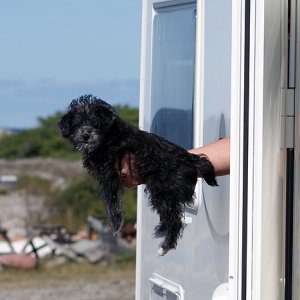 049 - Gotland 2008 Sol Och åter Sol :) :)