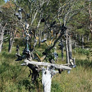 050 - Gotland 2008 Sol Och åter Sol :) :)