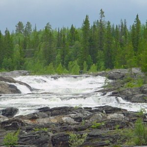 Trappstegsforsen Vid Saxnäs